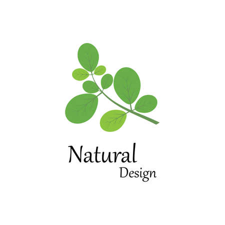 Leaf icon Vector Illustration design Logo templateのイラスト素材