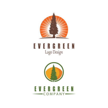 pine evergreen fir hemlock spruce conifer cedar Christmas tree design vectorのイラスト素材
