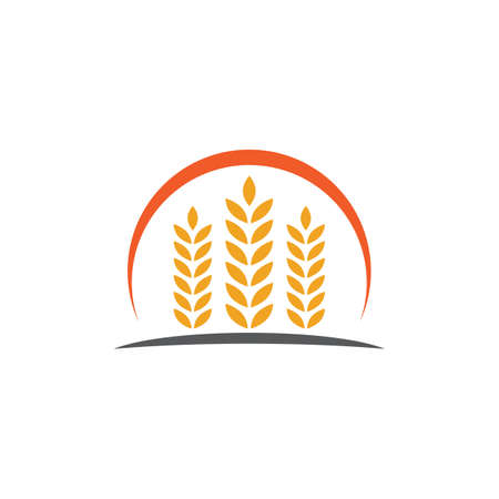 Luxury Golden Grain Weath / Rice Design Vectorのイラスト素材