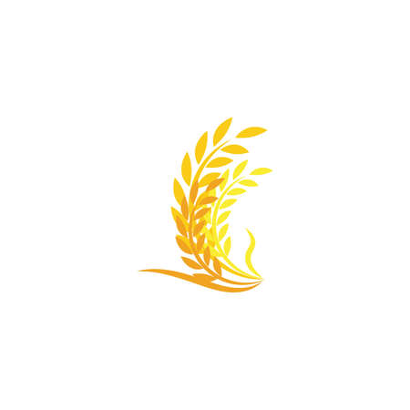 Luxury Golden Grain Weath / Rice Design Vectorのイラスト素材