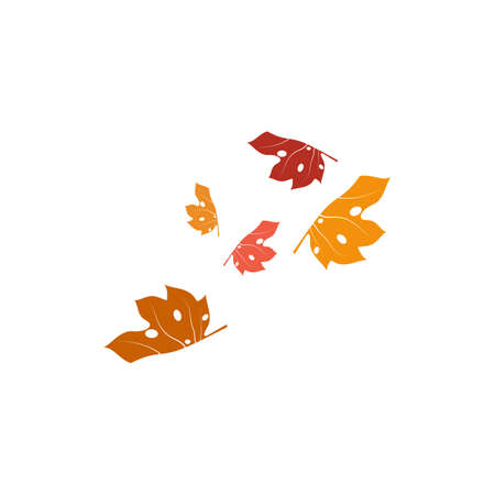 Maple leaf vector illustration design templateのイラスト素材
