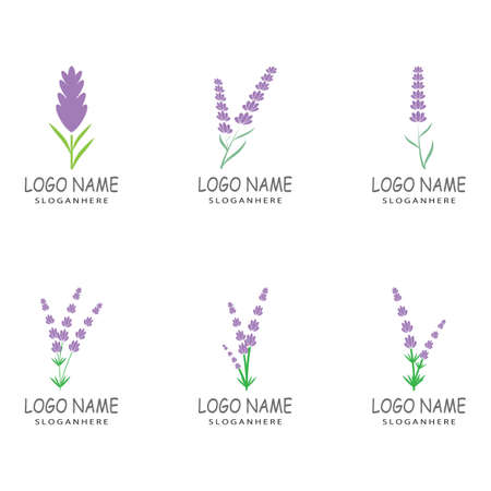 Lavender Logo Template vector symbol natureのイラスト素材