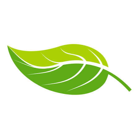Leaf icon Vector Illustration design Logo templateのイラスト素材