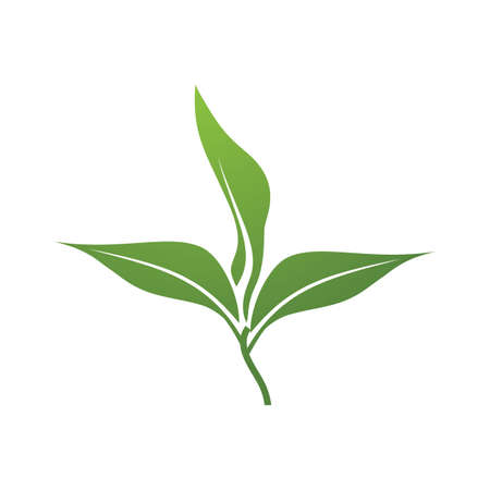 Leaf icon Vector Illustration design Logo templateのイラスト素材