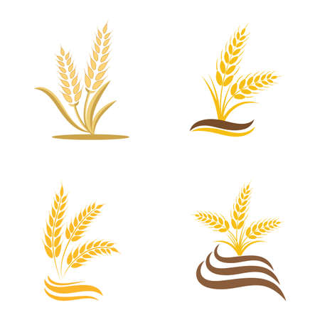 Agriculture wheat vector icon designのイラスト素材