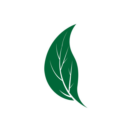 Leaf icon Vector Illustration design Logo templateのイラスト素材