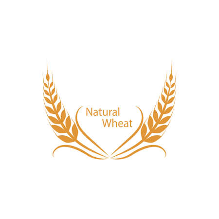 Agriculture wheat vector icon designのイラスト素材