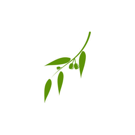 Eucalyptus leaves logo vector template design illustrationのイラスト素材