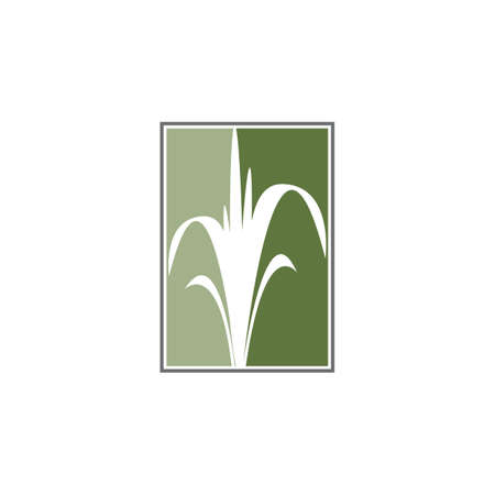 Agriculture wheat vector icon designのイラスト素材