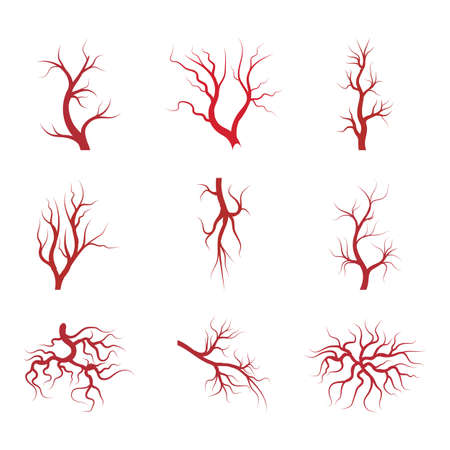 Veins icon Vector Illustration design Logo template
