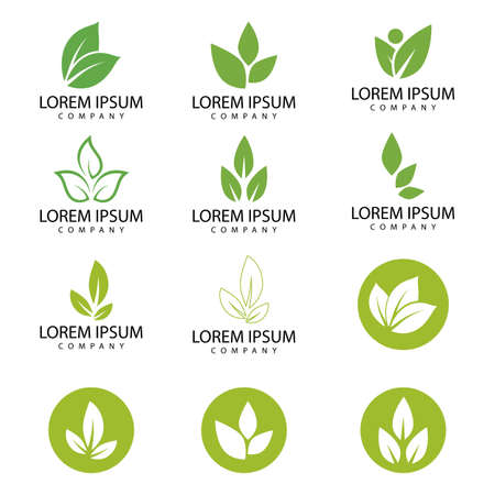 Leaf icon Vector Illustration design Logo templateのイラスト素材