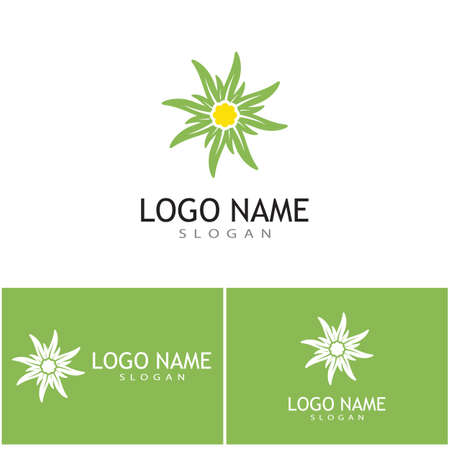 Edelweiss Logo Template Vector Symbol Natureのイラスト素材 イメージマート