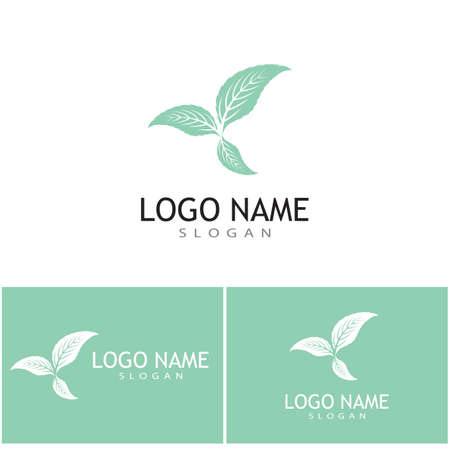 Mint leaves flat vector color icon template illustration designのイラスト素材