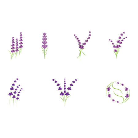 Lavender Logo Template vector symbol natureのイラスト素材