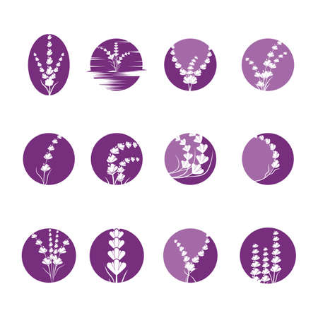 Lavender Logo Template vector symbol natureのイラスト素材