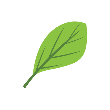 Green leaf illustration nature logo designのイラスト素材