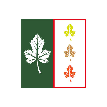 Maple leaf logo Template vector icon illustration designのイラスト素材