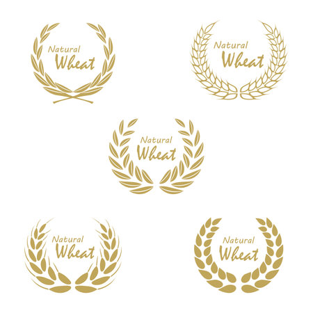Wheat Logo template vector illustration designのイラスト素材