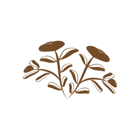 Beauty Florist botanical flower vector designのイラスト素材