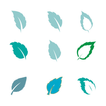 Mint leaf logo vector template symbol designのイラスト素材