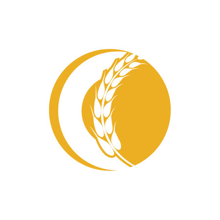 Agriculture wheat logo vector template and symbolのイラスト素材