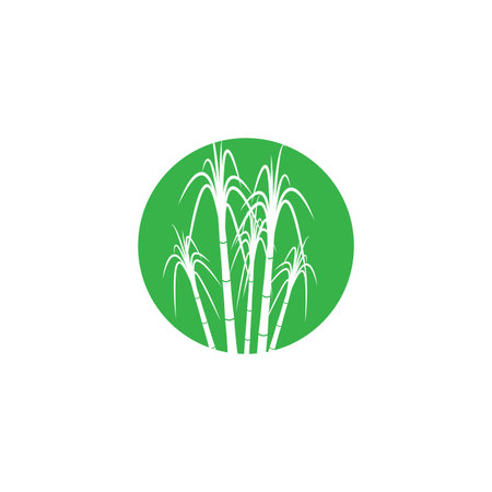 Sugarcane logo vector and symbol designのイラスト素材