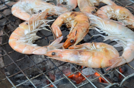 Grilled prawns on the grillの写真素材