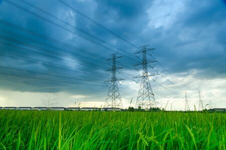 Storm clouds over rice field with high voltage power pylonsの写真素材