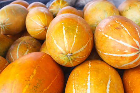 thai cantaloupe melonの写真素材