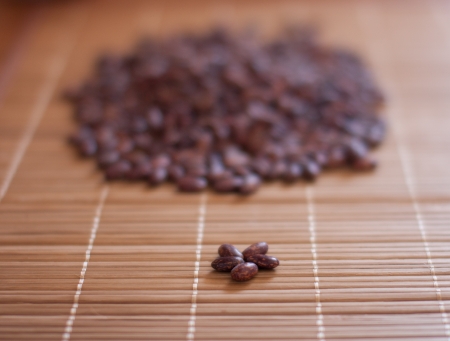 beans on a bamboo mat