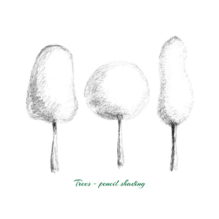 Vector illustration - trees drawn by hand with pencil shading tone, isolated on white background.のイラスト素材