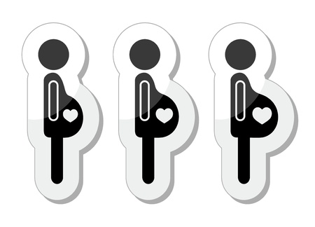 Pregnant woman - stages of bump icons setのイラスト素材