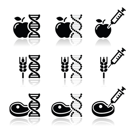 Food DNA, genetically modyfied food GMO icons setのイラスト素材