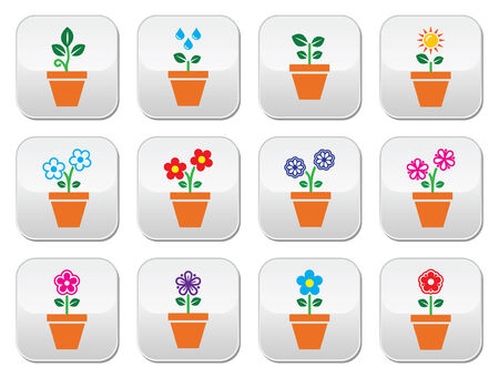 Flower, plant in pot colorful icons setのイラスト素材