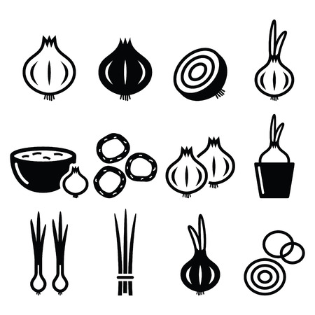 Onion, spring onions icons setのイラスト素材
