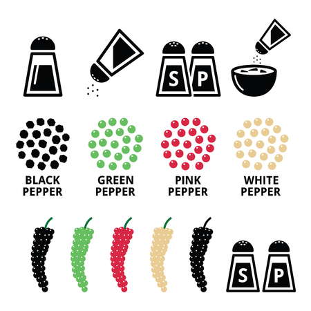 Spices icons - black pepper, red, green and white designのイラスト素材