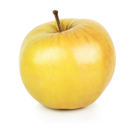 Ripe apple with stem on white backgroundの写真素材