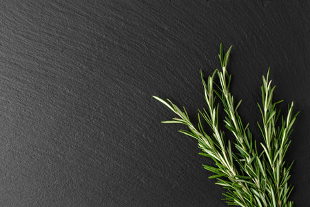 rosemary branch on black slate, top view, place for textの写真素材