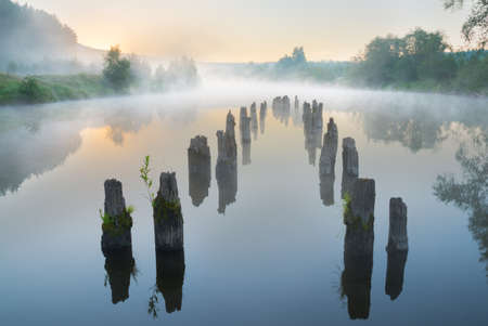 Misty morning on the river. Calm water and the remains of an old pierの写真素材