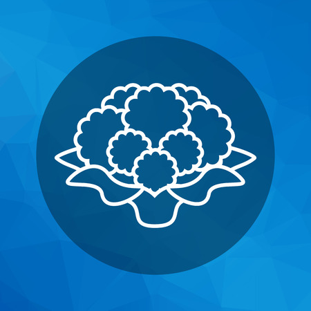 Icon of cauliflower curdのイラスト素材