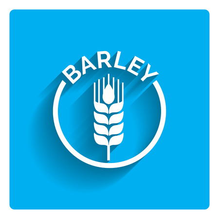Icon of barley ear in circle with inscriptionのイラスト素材