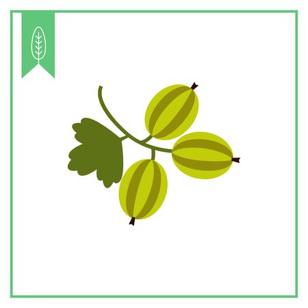 Vector icon of ripe green gooseberry bunchのイラスト素材