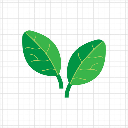 Vector icon of two green spinach leavesのイラスト素材