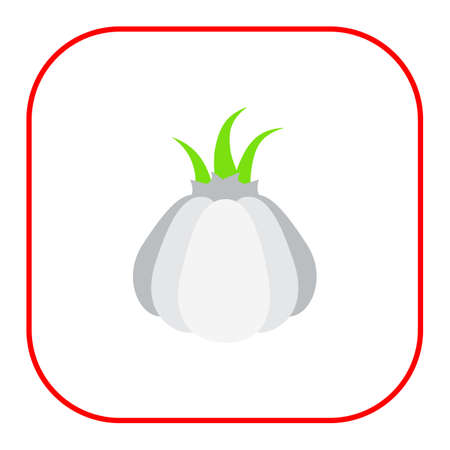 Icon of garlic bulbのイラスト素材