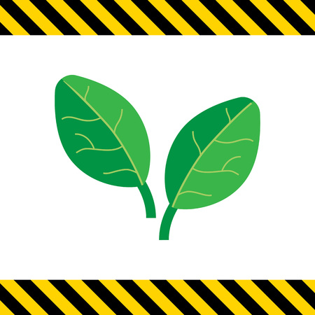 Vector icon of two green spinach leavesのイラスト素材
