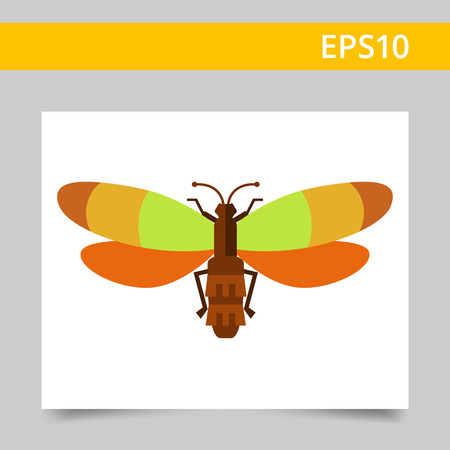 Vector icon of beetle with multicolored wings, top viewのイラスト素材