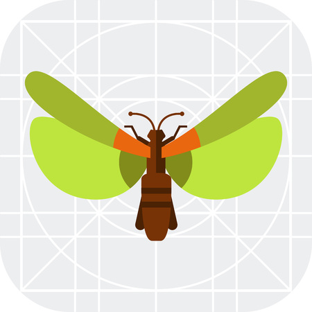 Multicolored vector icon of beetle with green wings, top viewのイラスト素材