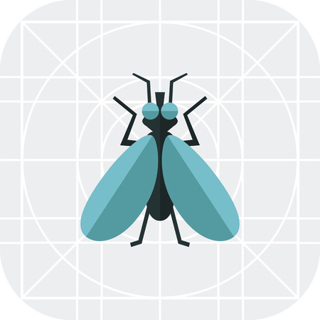 Multicolored vector icon of fly, top viewのイラスト素材