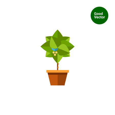 Multicolored vector icon of small blooming tree in potのイラスト素材