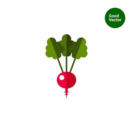 Multicolored vector icon of radish with green leavesのイラスト素材